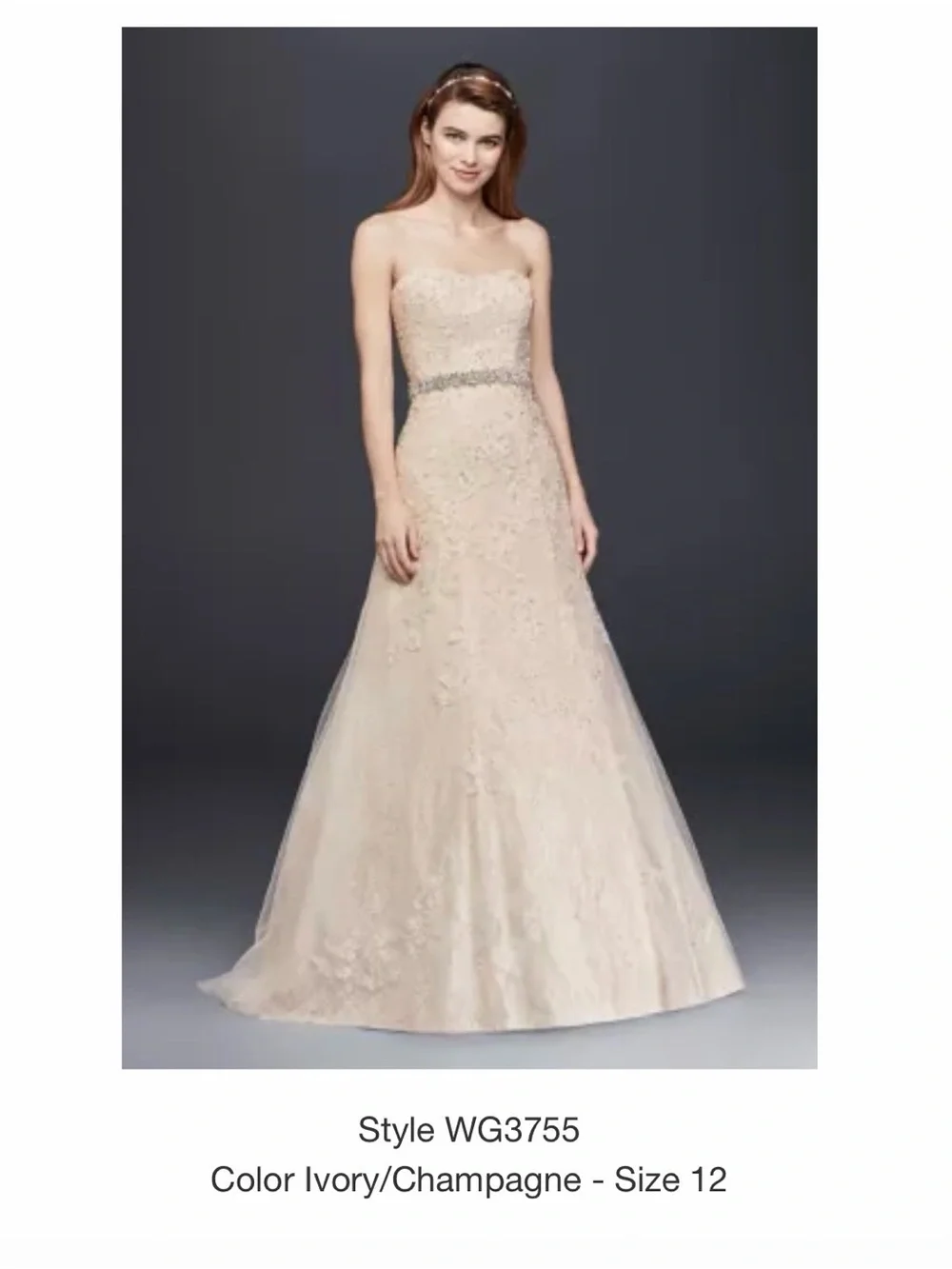 David's Bridal Strapless Lace Appliqué A-Line Wedding Dress in Ivory - Picture 4 of 4